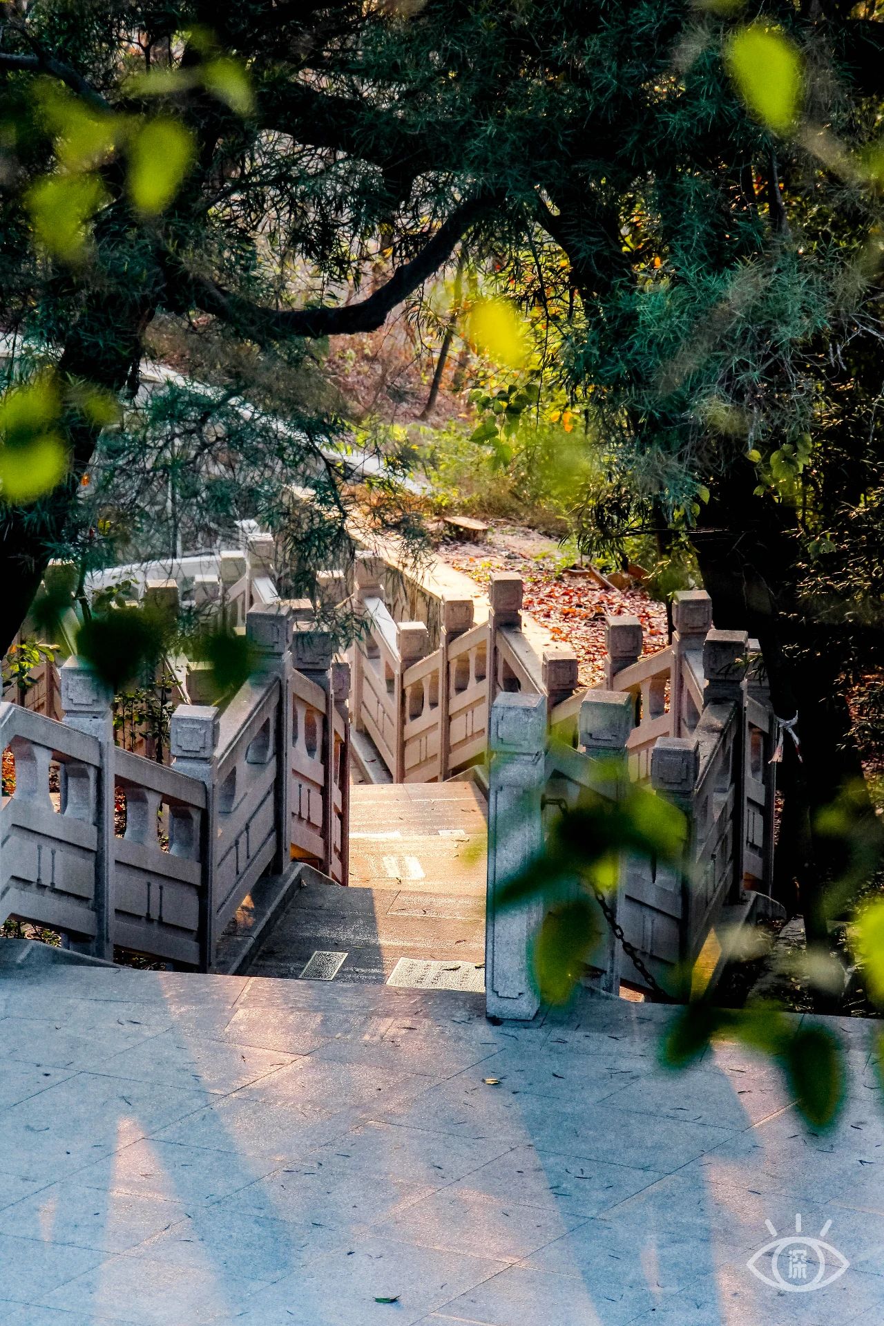 深圳旅游攻略地铁沿线景点,深圳市地铁2号线打卡的24个景点