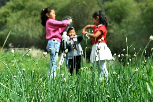 小天晨报丨2019中国体育旅游露营大会在吉木乃县开启,和静县巴伦台镇举行韭菜节