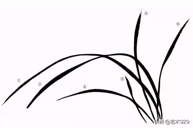 国画兰花画法免费技法教程,国画兰花绘画图