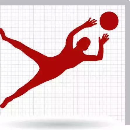 五星桑巴世界杯完整视频,五星巴西桑巴舞