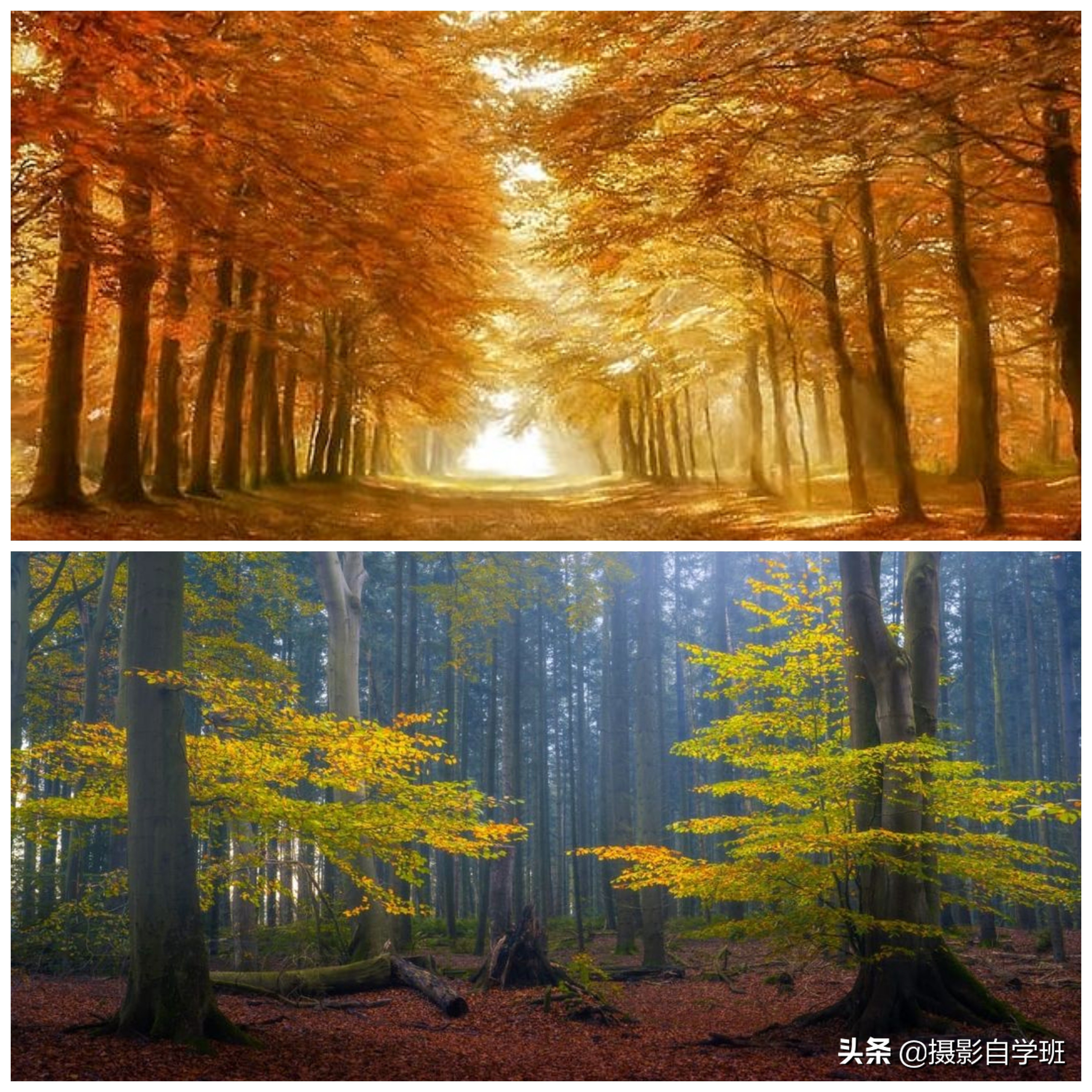 风光摄影必学的10个拍摄技巧,风光摄影作品拍摄的技巧有哪些