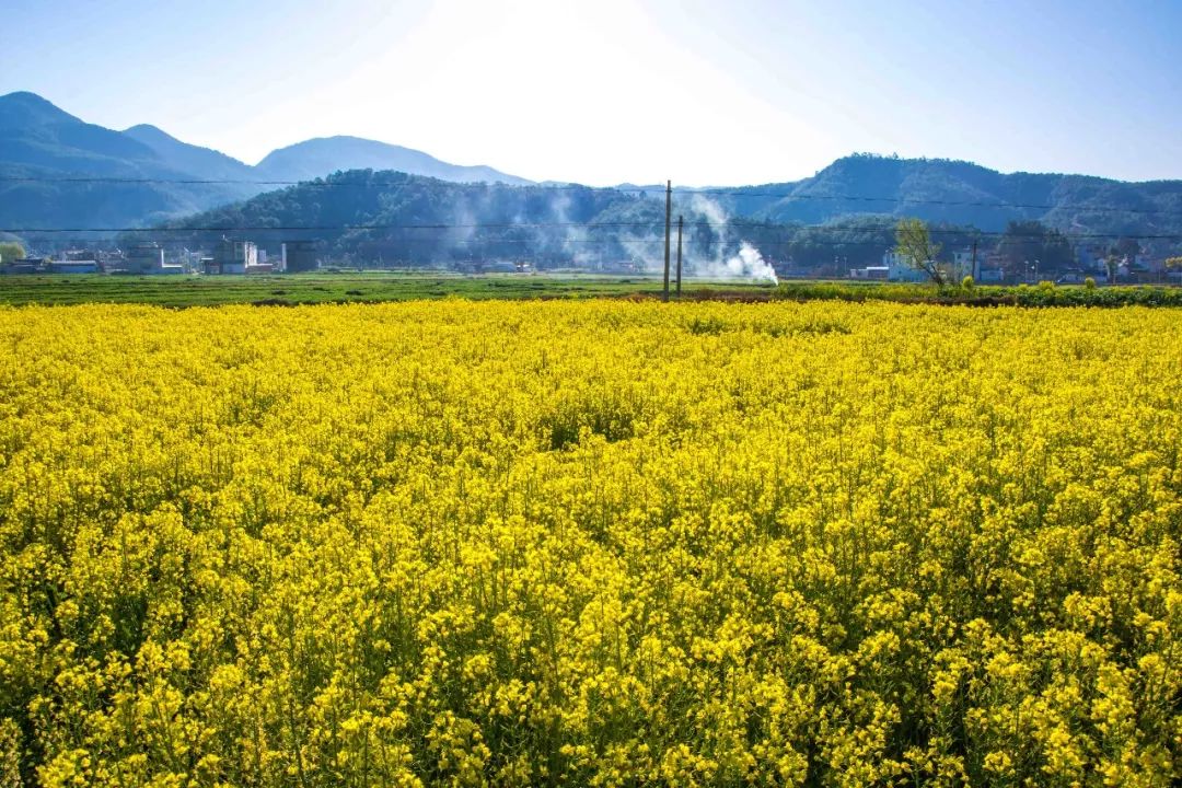 说秋道冬话永胜，气候多样人宜居