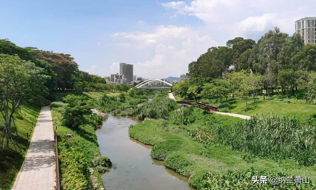 西丽枢纽动工动员大会,西丽综合交通枢纽是哪家施工