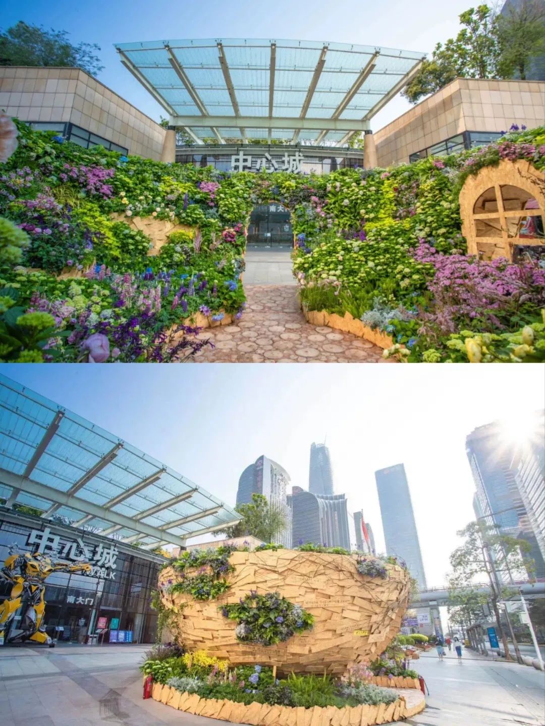 深圳花展2019年12月时间表,深圳第一场春天花展