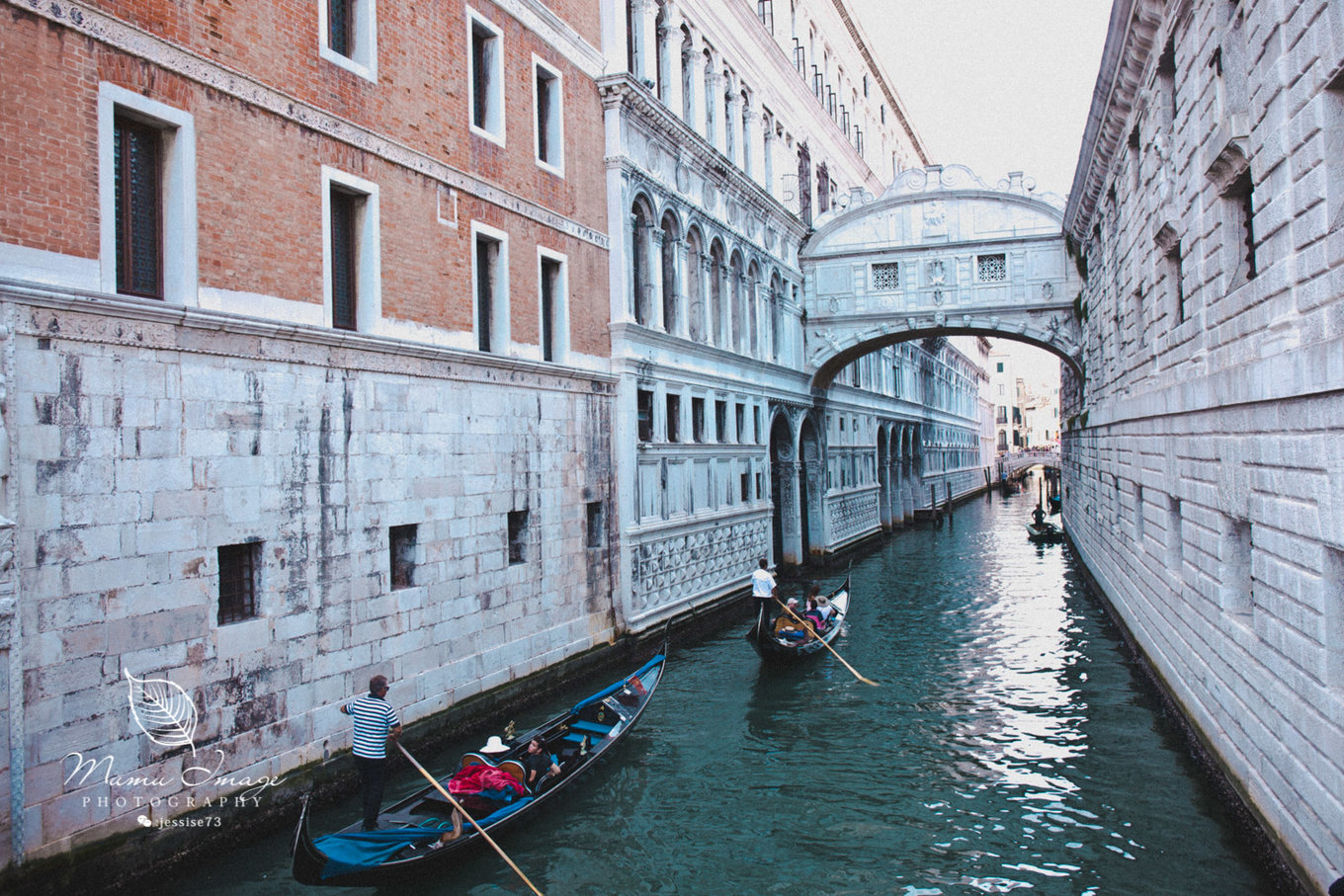 周庄被称为,古镇周庄坐船能看到什么样的风景