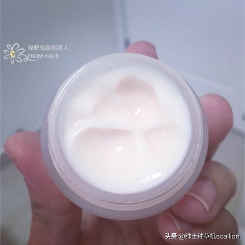 推荐几款日本好用的面霜,日本最好用的这10款面霜