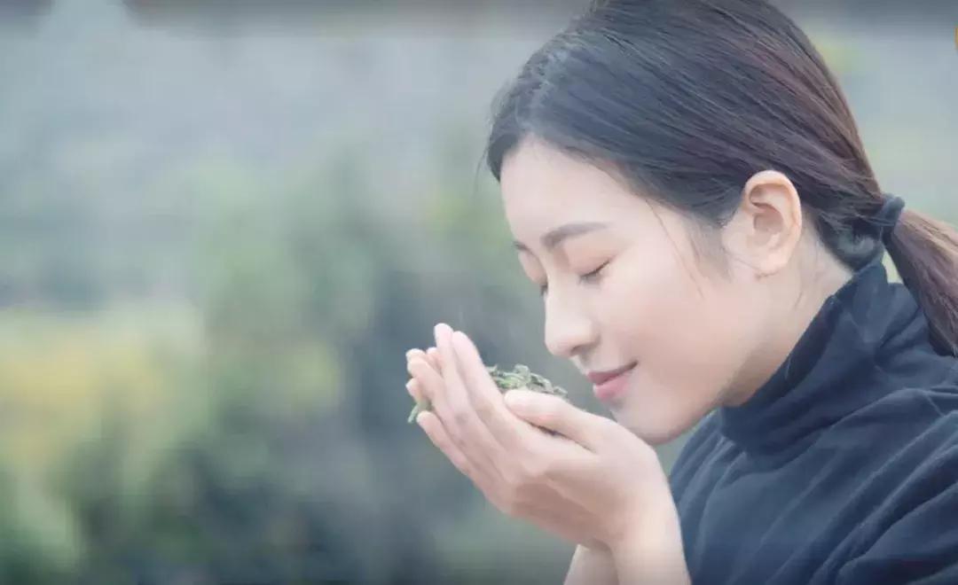 传销和P2P好躲，卖茶小妹难防！