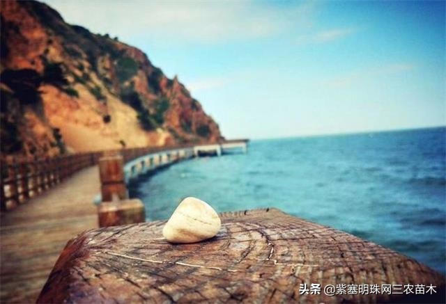 长岛值得去的渔家乐,长岛美丽的海岛