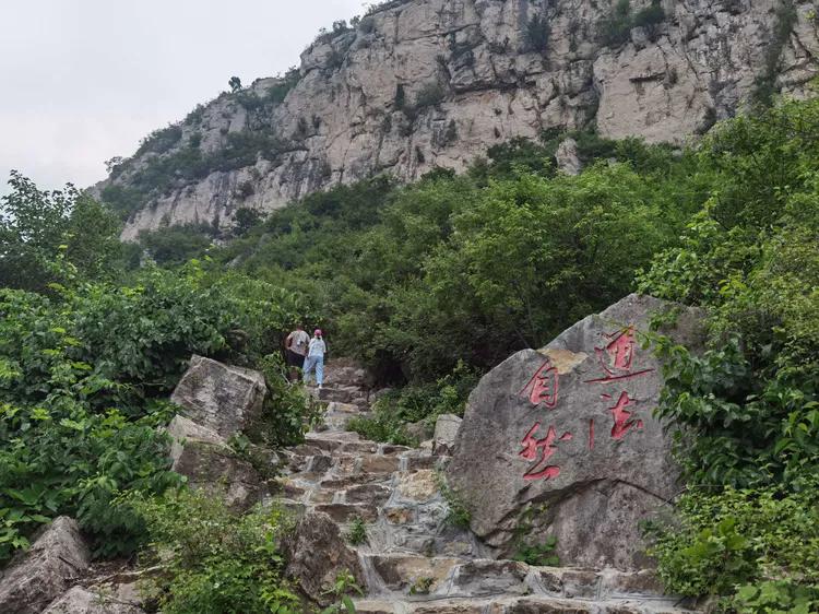 济南灵岩大佛山景区,济南灵岩寺大佛风景区