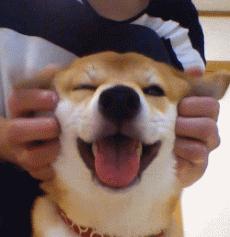 弋江装修全包半包清包哪个划算,装修小白必看装修材料购买顺序表