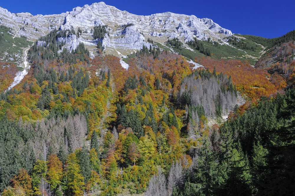 奥地利十大风景区,奥地利十大景点排名表格