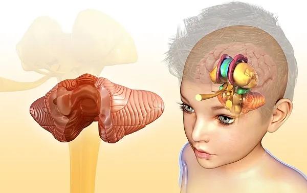 多动症儿童兴奋剂,多动症儿童吃了兴奋神经的药