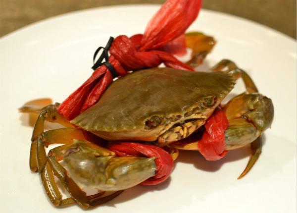 中国十大名蟹大闸蟹 (大闸蟹和黄油蟹谁更好吃)