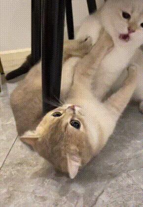 女生衣服尺码分别对应多少斤体重,女孩子衣服尺码跨度是个谜