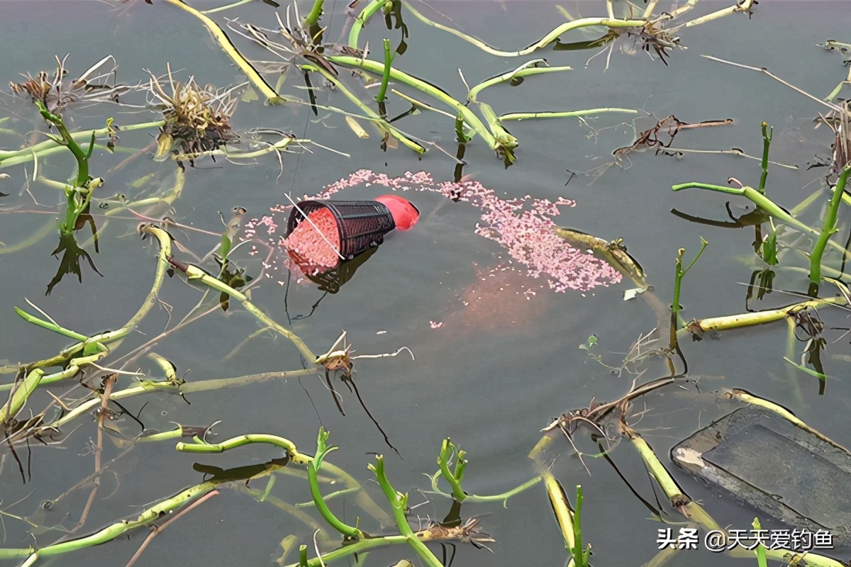 冬季钓鱼的五个干货技巧,冬季钓鱼如何让鱼获翻倍