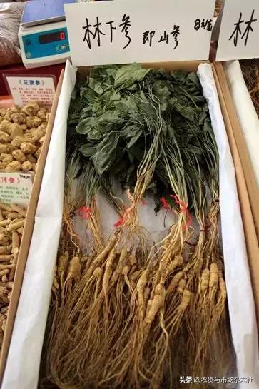 农业怎么种才能赚钱,谁说农业是暴利行业