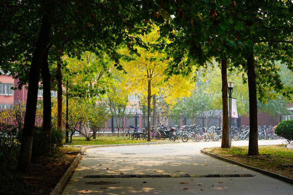 三分钟让你了解北京,北京市北外附属外国语学校官网