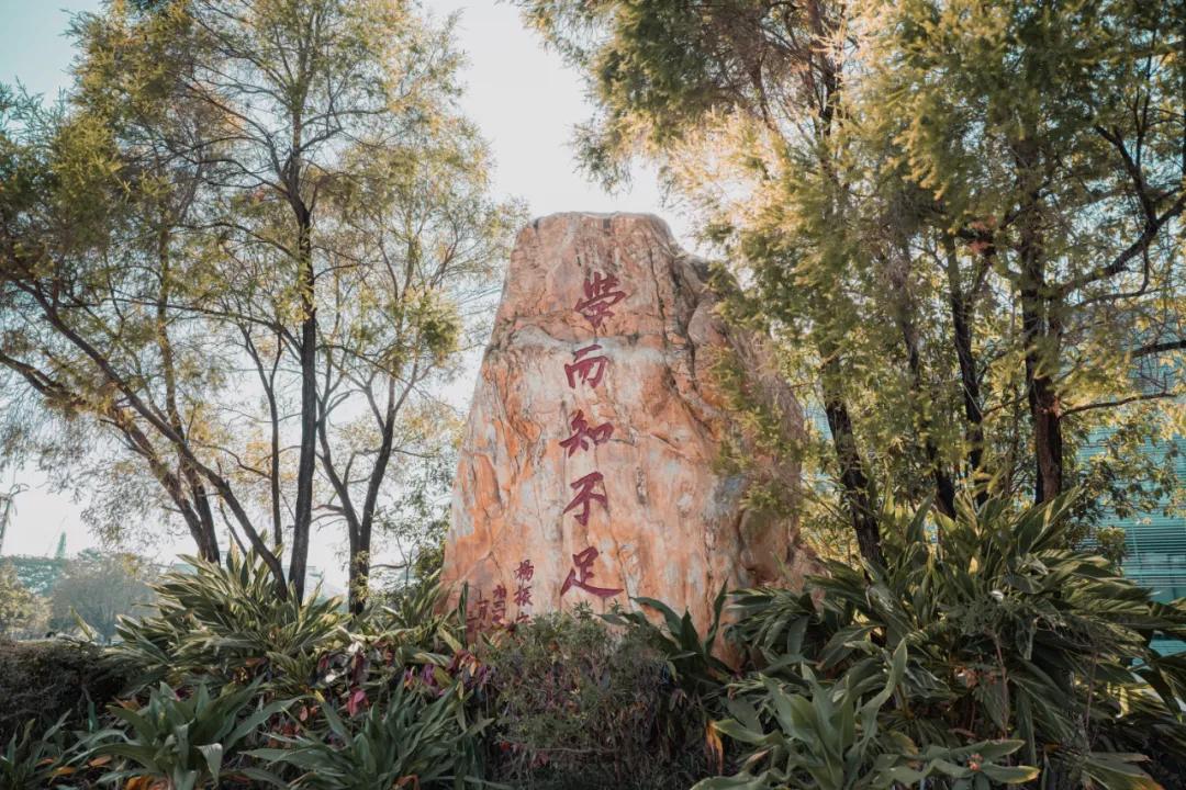 东莞理工学院成人高考招生简章,东莞理工学院招生简章2024