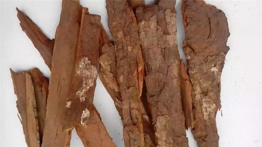 世界上第一个也是最成功的合成药物,你药箱里肯定有!止痛,退烧,还能抗癌,且价格低廉