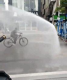 搞笑gif第八期,搞笑gif第三弹