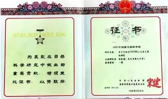 破解世界数学难题的中学教师,攻克世界难题的天才少年