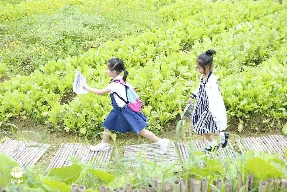 比双11还狠的王炸价格！悦榕、万豪、柏联3折起