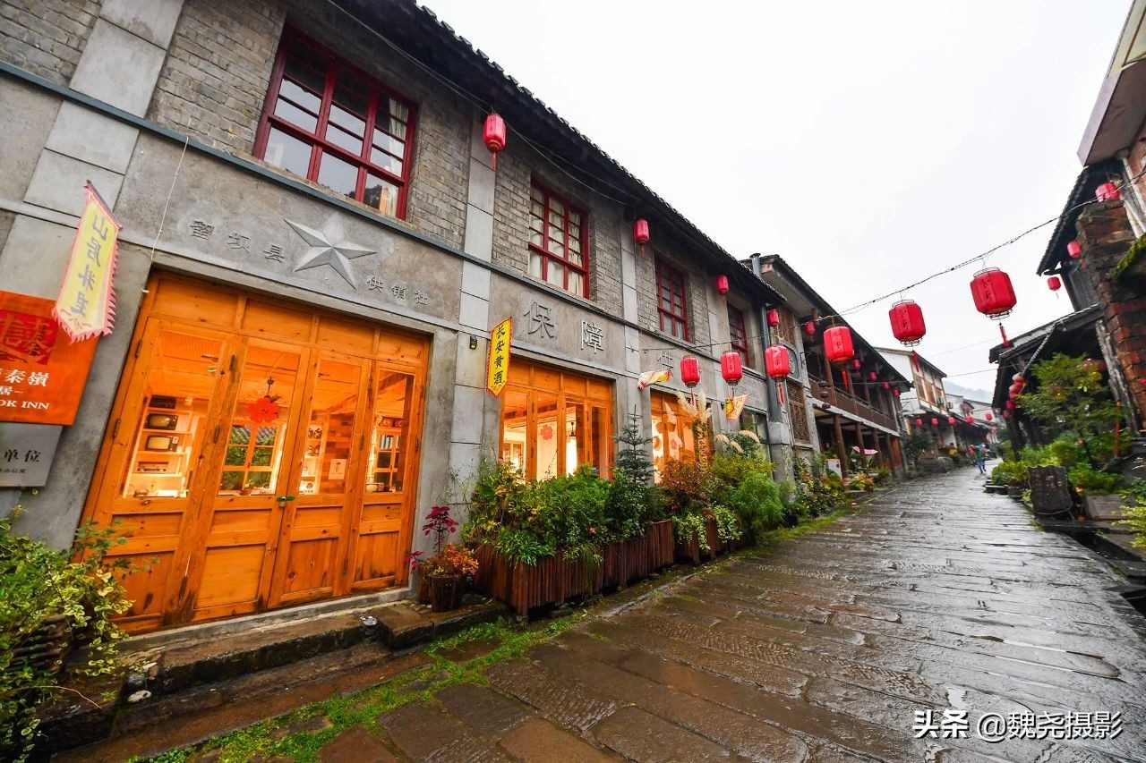 留坝秦岭之夜,留坝秦岭森林公园