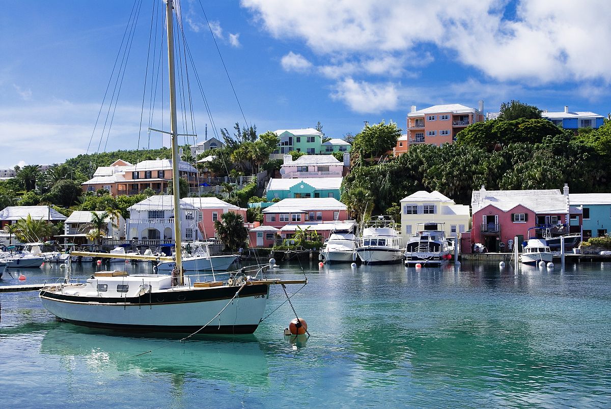 世界海洋大西洋,大西洋深海神秘生物