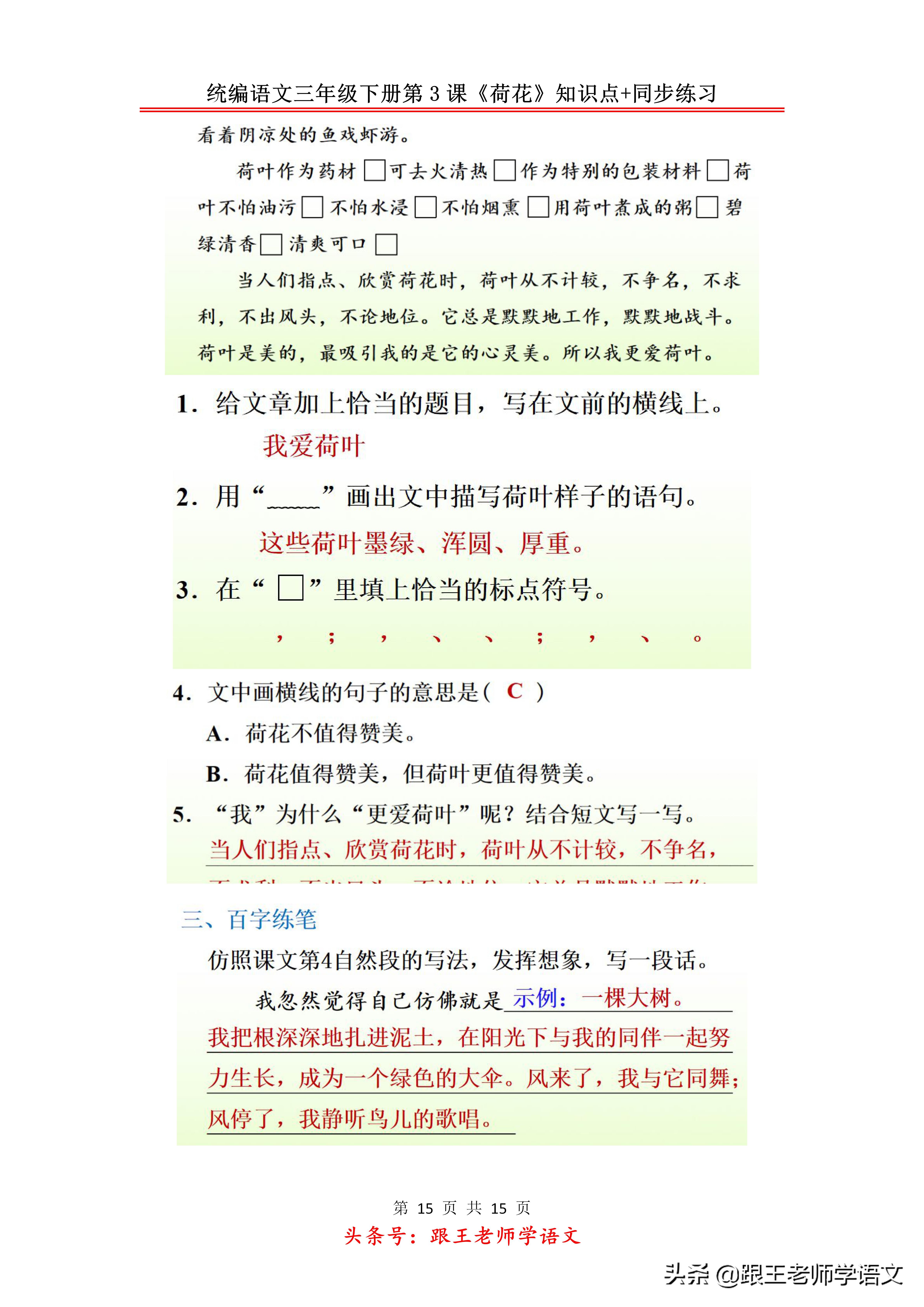 三年级下册荷花2到4自然段的段意,部编教材三年级下册荷花教学视频