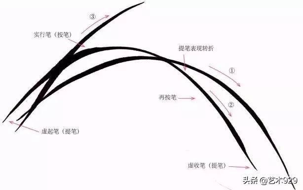 国画兰花画法免费技法教程,国画兰花绘画图