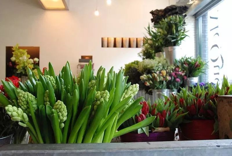 成都ins风花店,ins上六家花店