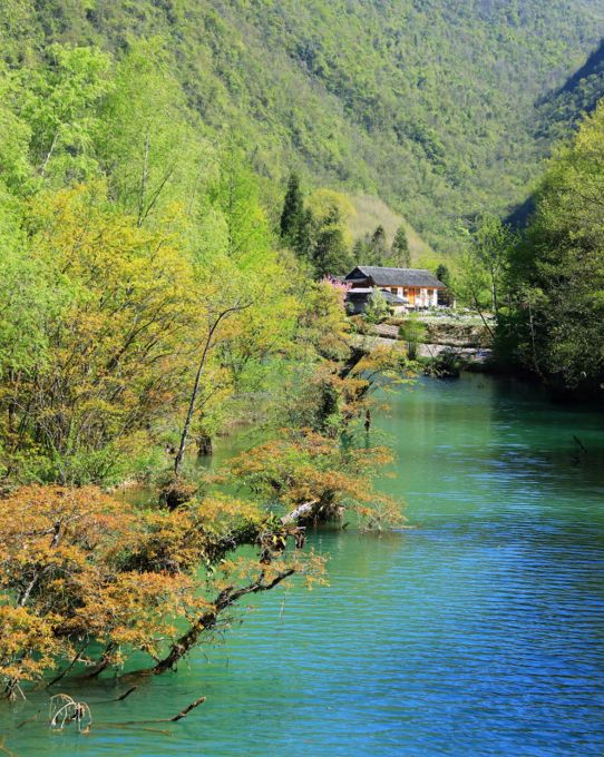 恩施，凭什么持续美哭全国，惊艳世界？