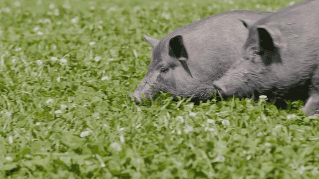 腾讯高管辞职隐居,腾讯元老隐居合肥