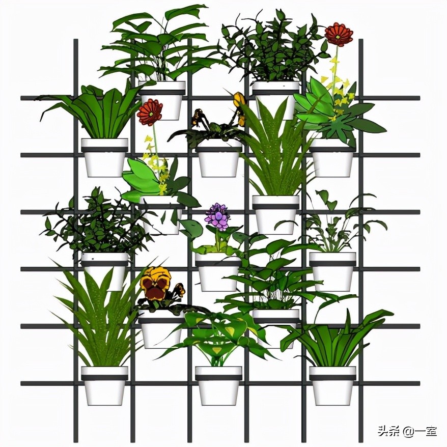 网红庭院植物搭配,网红绿植搭配技巧