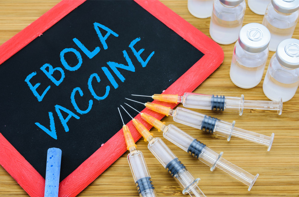 出血热病毒,出血热病毒如何传染的