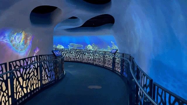 迪拜展馆设计,迪拜世博会40个展馆梦幻设计