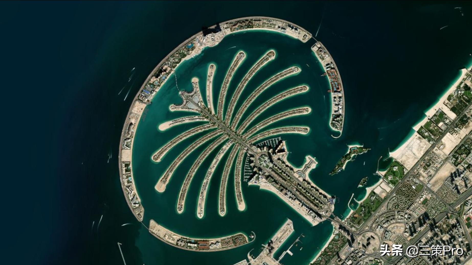 沙漠玫瑰阿拉伯视频,沙漠玫瑰在阿联酋