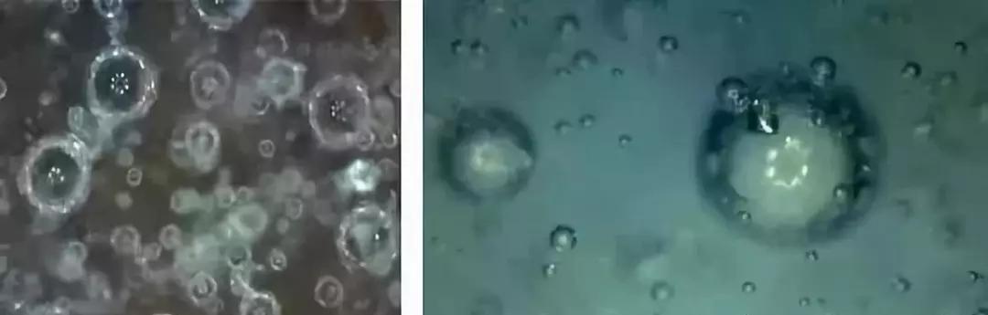 古陶瓷鉴定常识,别被忽悠了素材