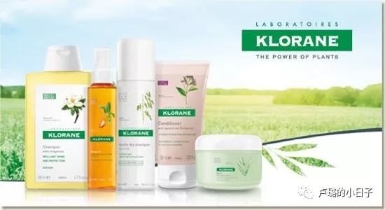 可以拯救发际线的洗发水推荐,拯救干枯毛躁和去屑的平价洗发水