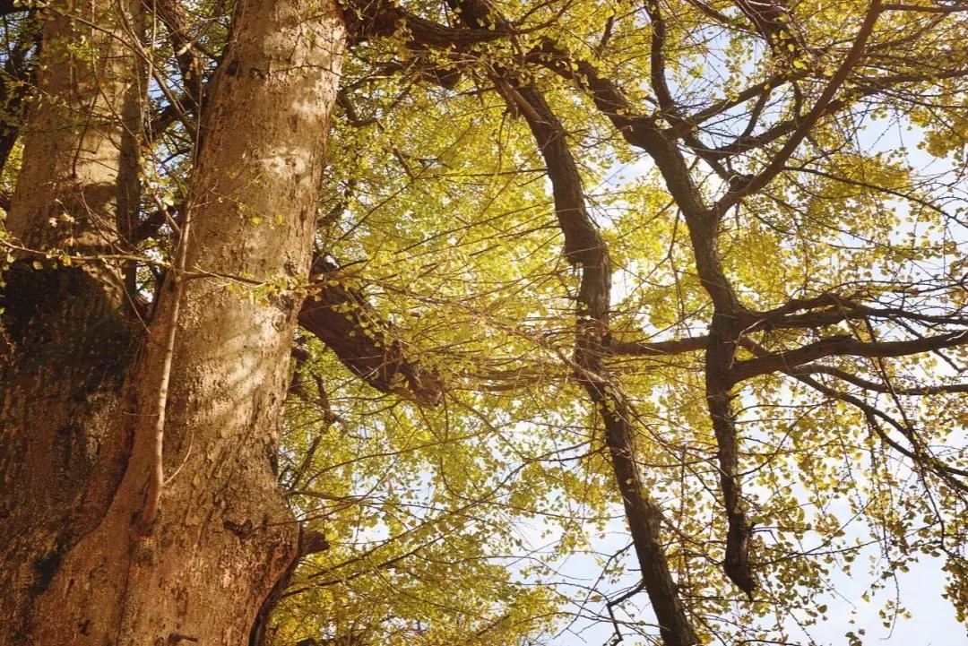广东居然藏着一个神秘天坑,广东这座小镇藏着多少宝藏