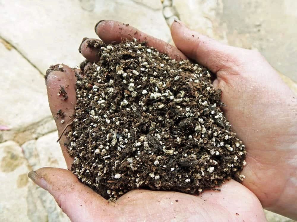 营养土怎么做肥沃最好,配制营养土的材料有哪些