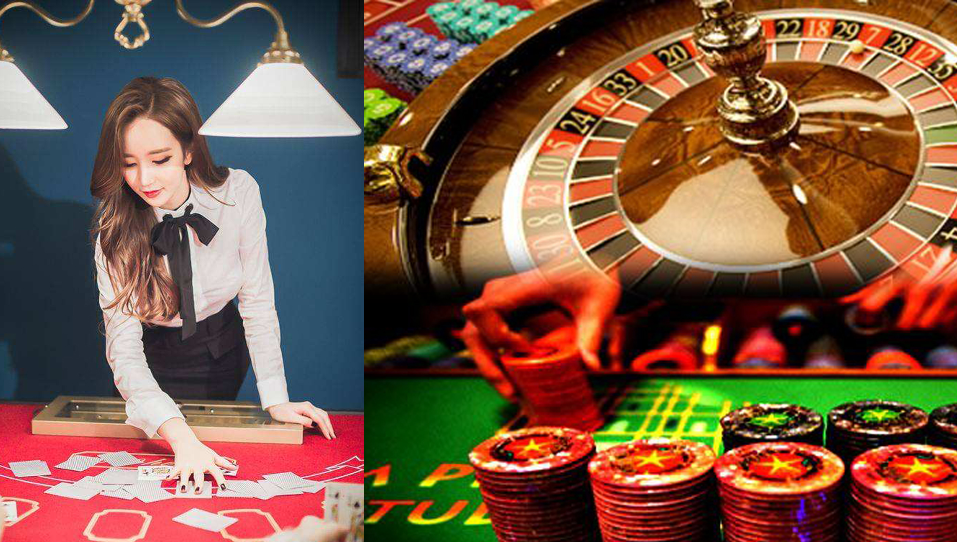 新手在哪里买龟好养活点,宠物龟在什么地方卖好呢