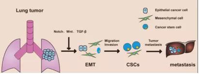 硬货的解析,硬货必买的10种