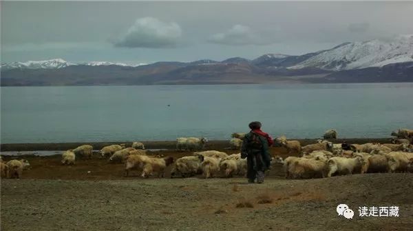 走阿里去纳木错免费吗,走在西藏高原普兰县