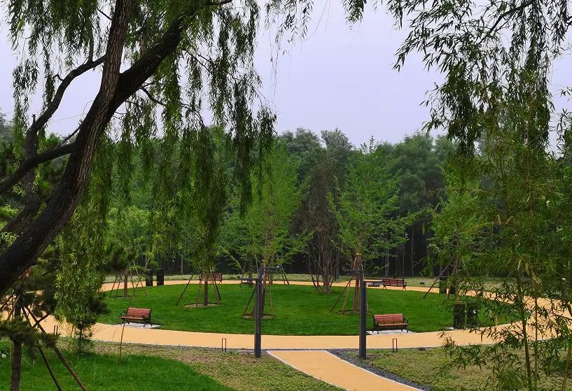 西安公园24小时开放,西安免费儿童玩的公园