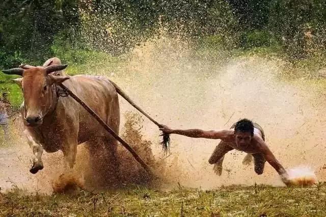 谁会成为下一个茅台股,谁会成为东数西算的龙头