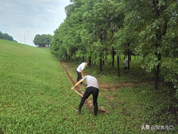 群策群力扬帆起航,齐心协力筑牢防线