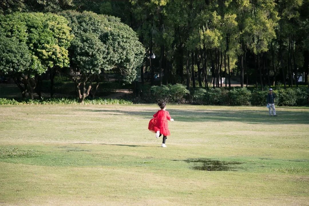 放假在深圳能去哪里玩,放假了可以去深圳的哪些地方玩