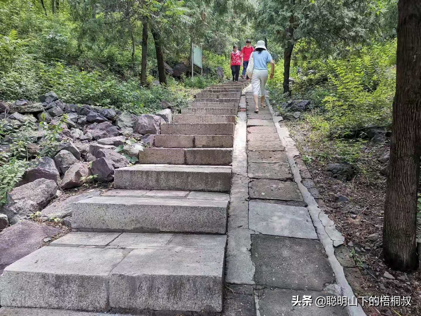 蟒山国家森林公园自由行攻略,北京蟒山森林公园游玩攻略