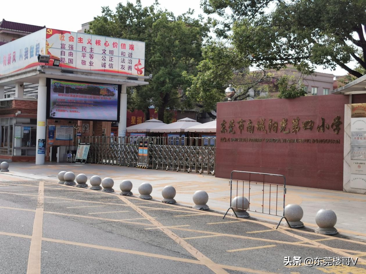 妤煎摜韪╃洏,妤煎摜韪╃洏淇濆埄澶╃考骞垮満